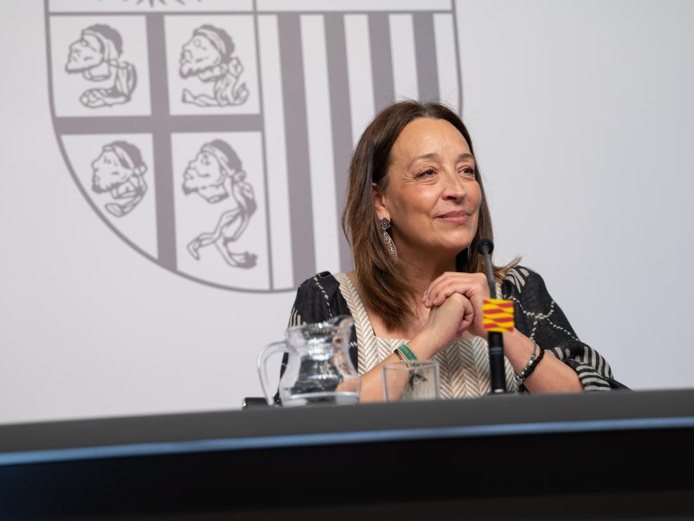 Quién interpone el recurso de inconstitucionalidad en España 2026