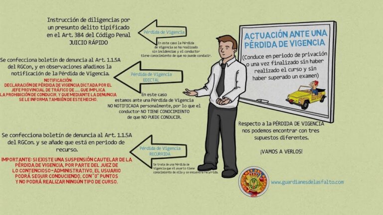 RECUPERA TU CARNET DE CONDUCIR: PROCEDIMIENTOS CLAVES