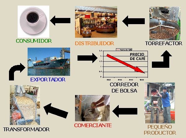 REPRESENTANTE DE COMERCIO: FUNCIONES, CONTRATO Y VALOR