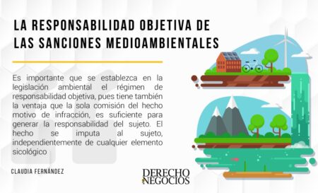 Responsabilidad Civil Objetiva: Ejemplos y Diferencias Clave