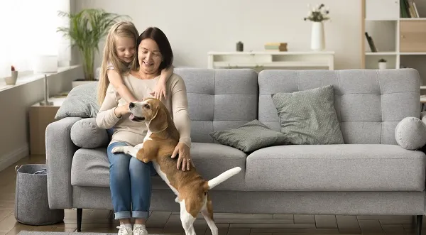Se puede NO ESTAR EMPADRONADO en tu VIVIENDA HABITUAL