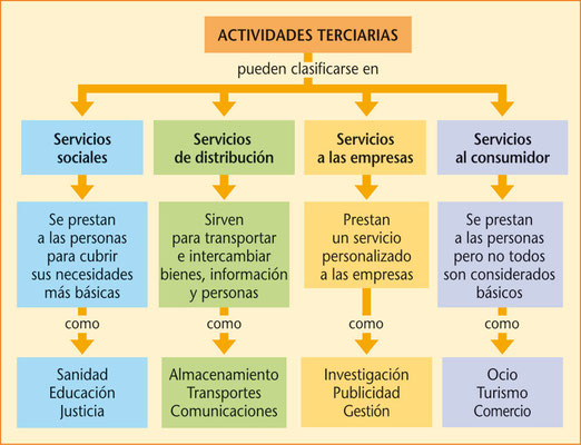 Suelo Terciario en España: CONCEPTO y ACTIVIDADES CLAVE