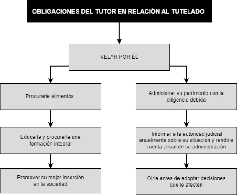 TUTOR LEGAL: Funciones y Obligaciones que Debes Conocer